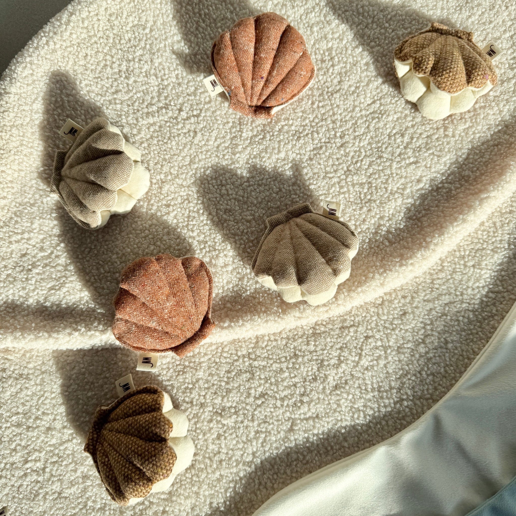 Clam 3 Set