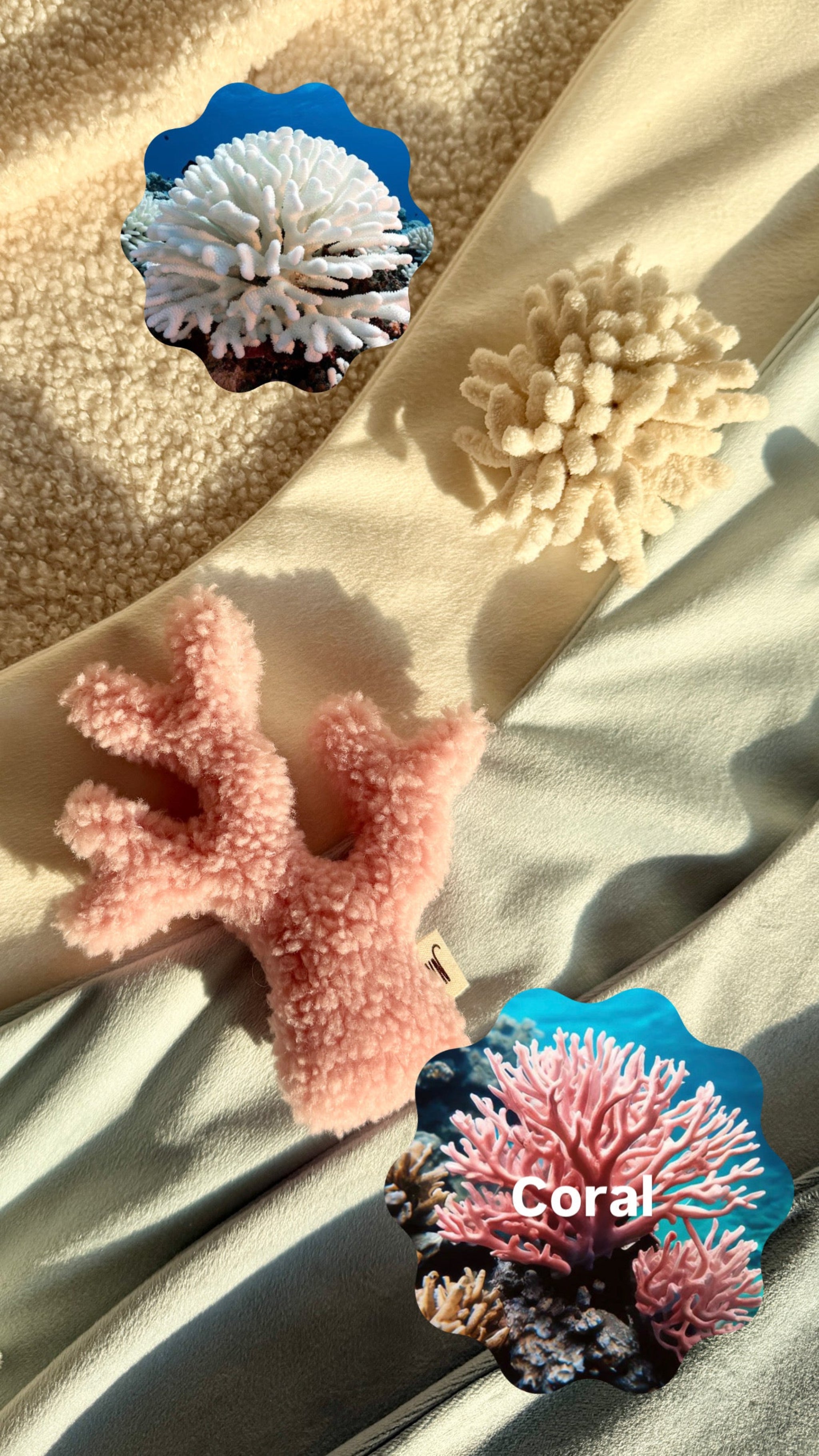 Coral 2 Set