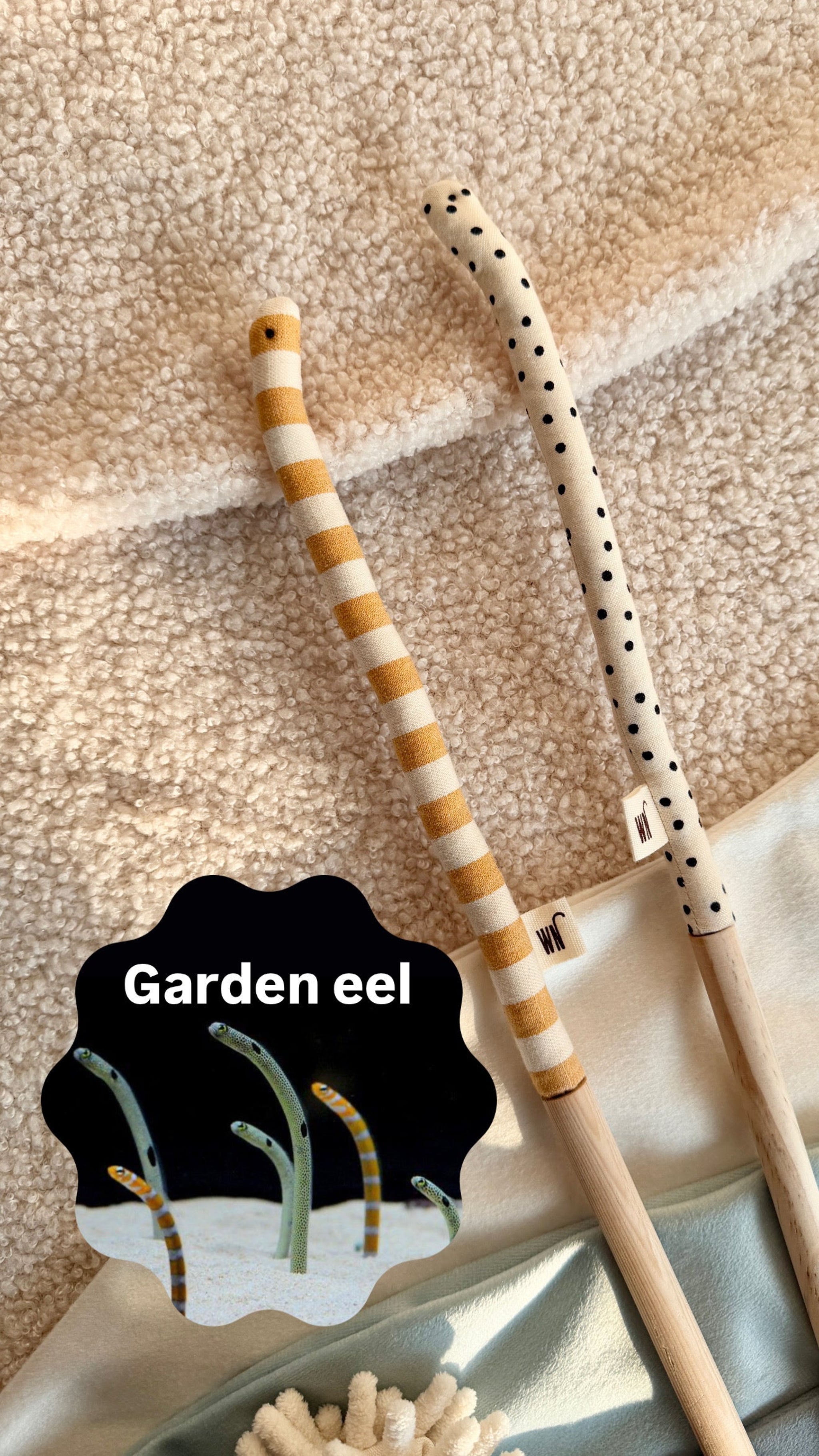 Garden Eel