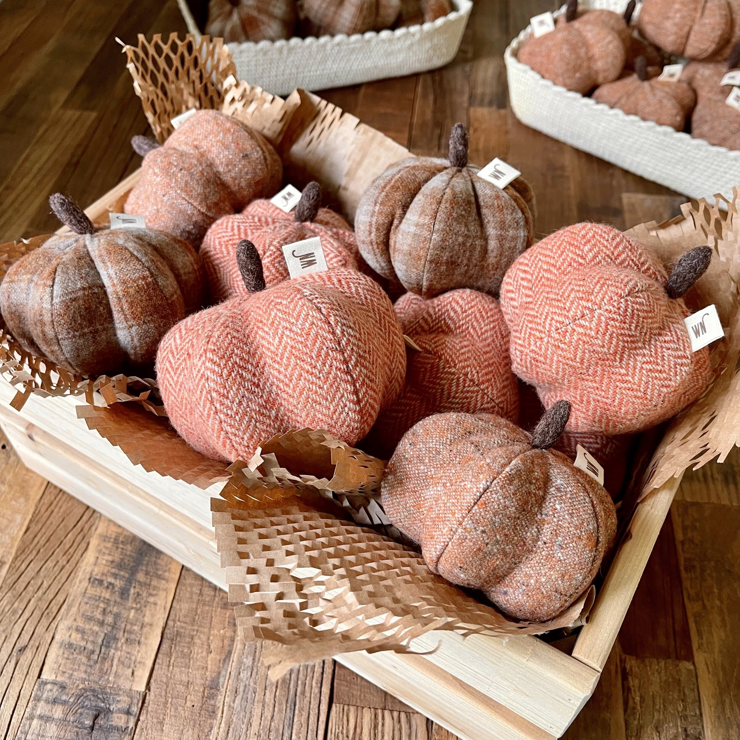 Pumpkin