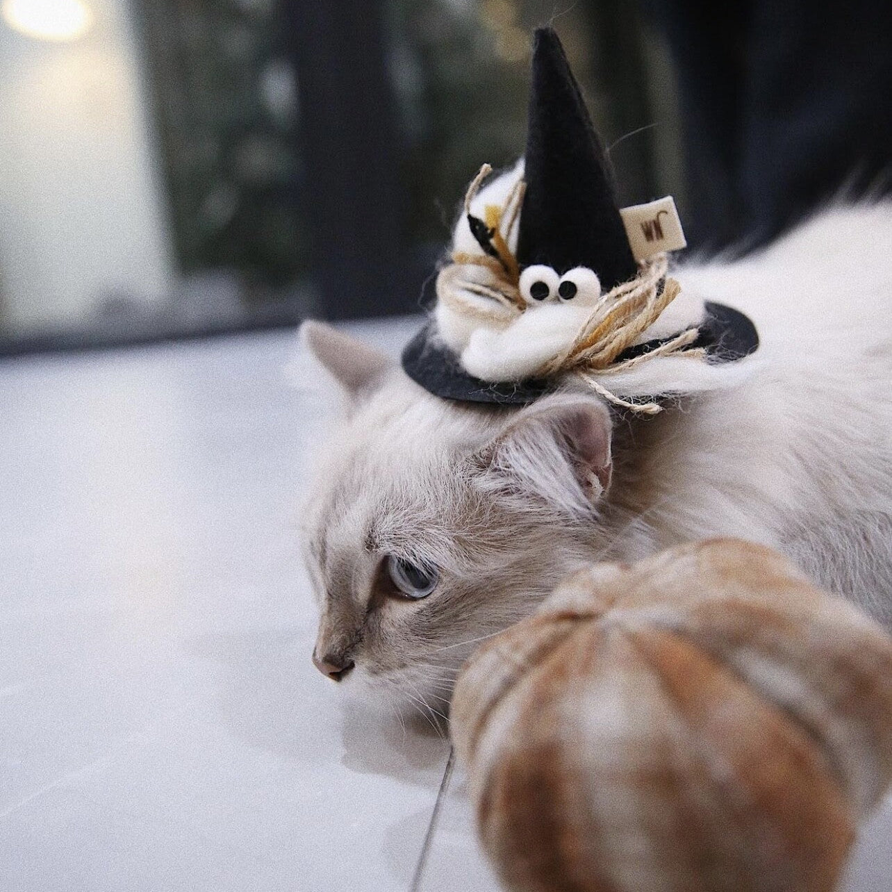 Furry Monster Hat