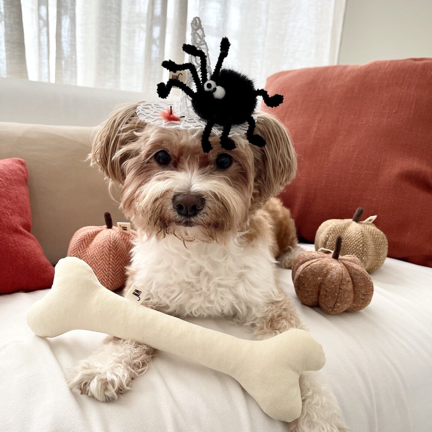 Spider Web Hat
