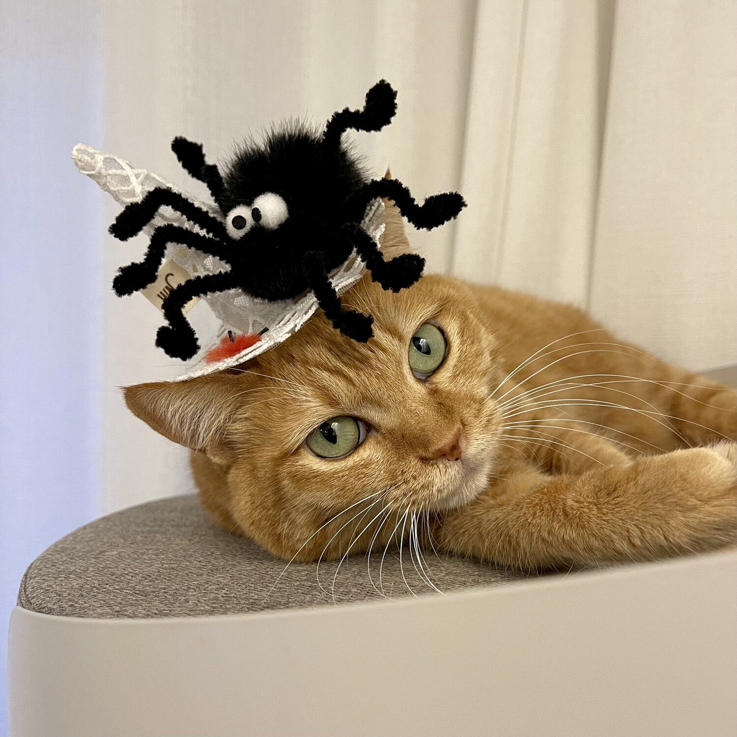 Spider Web Hat