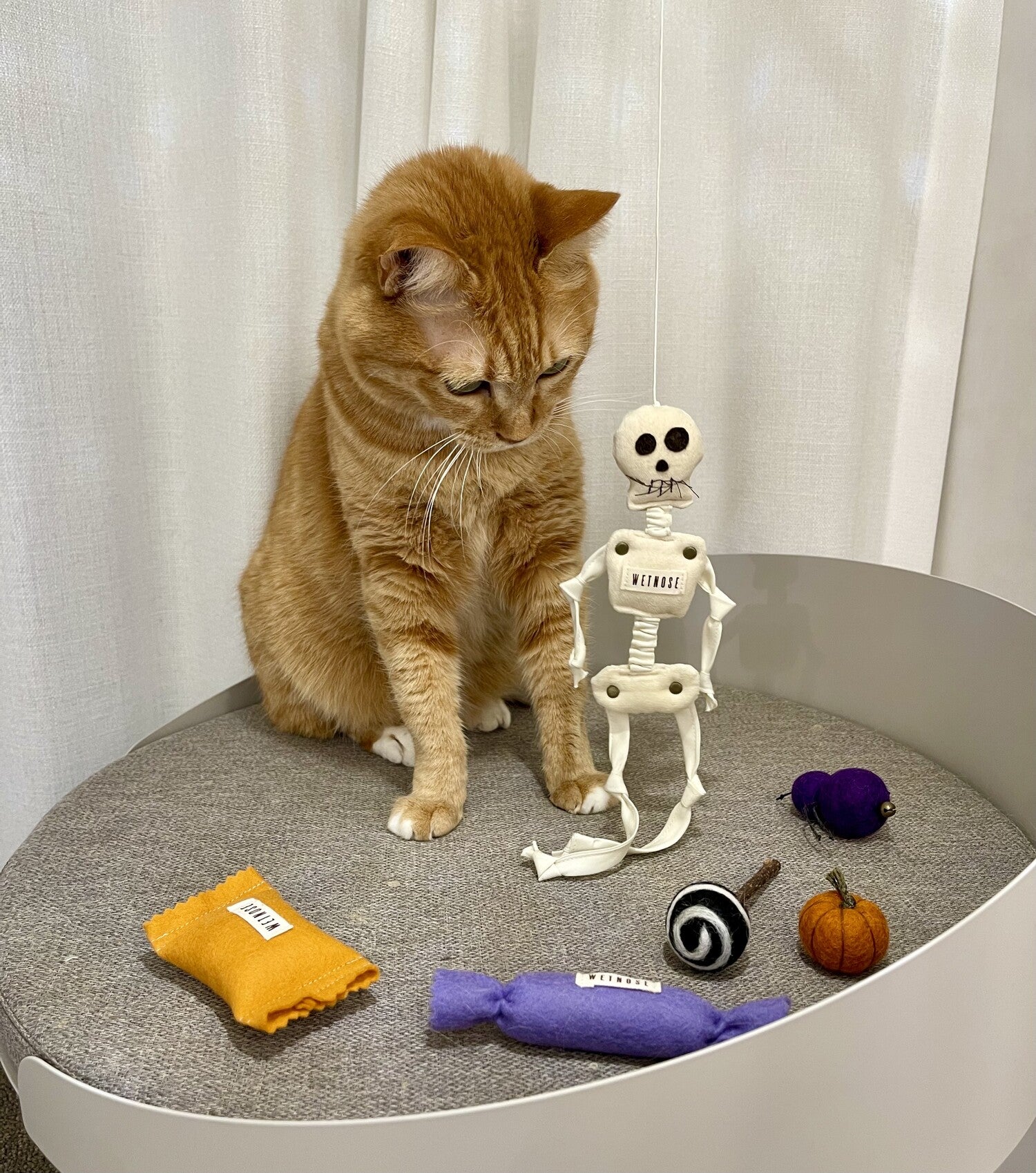 Skeleton Rod