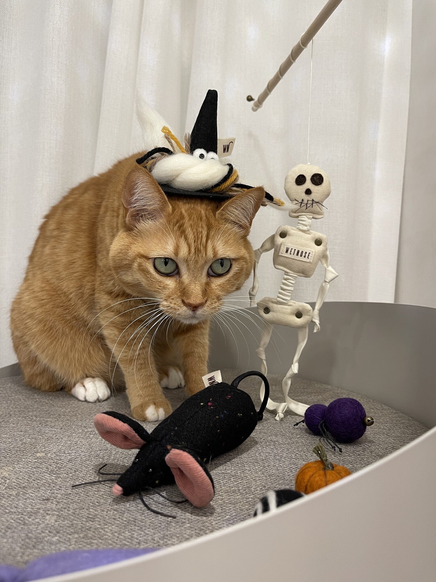 Skeleton Rod