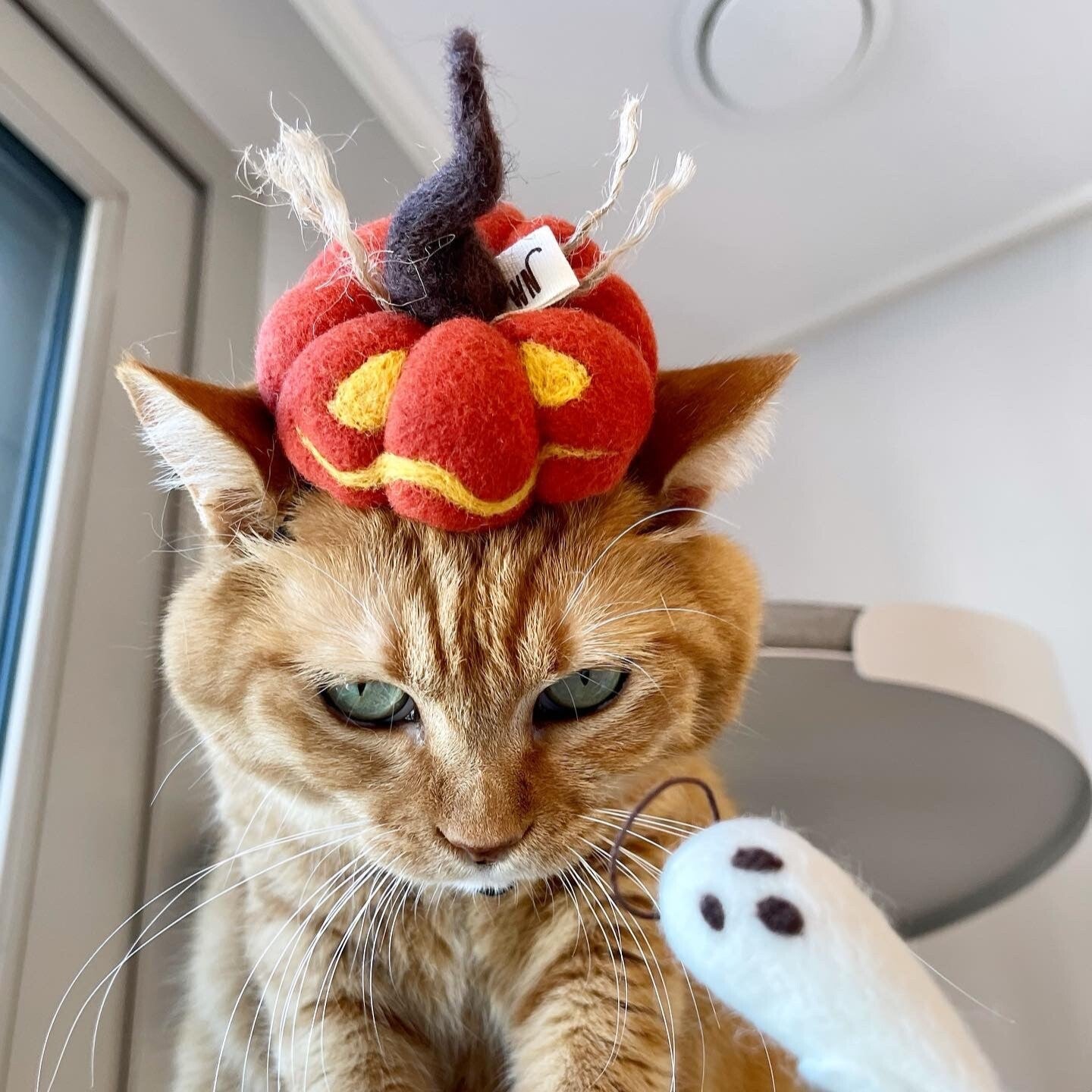 Jack-o'-lantern Headpiece