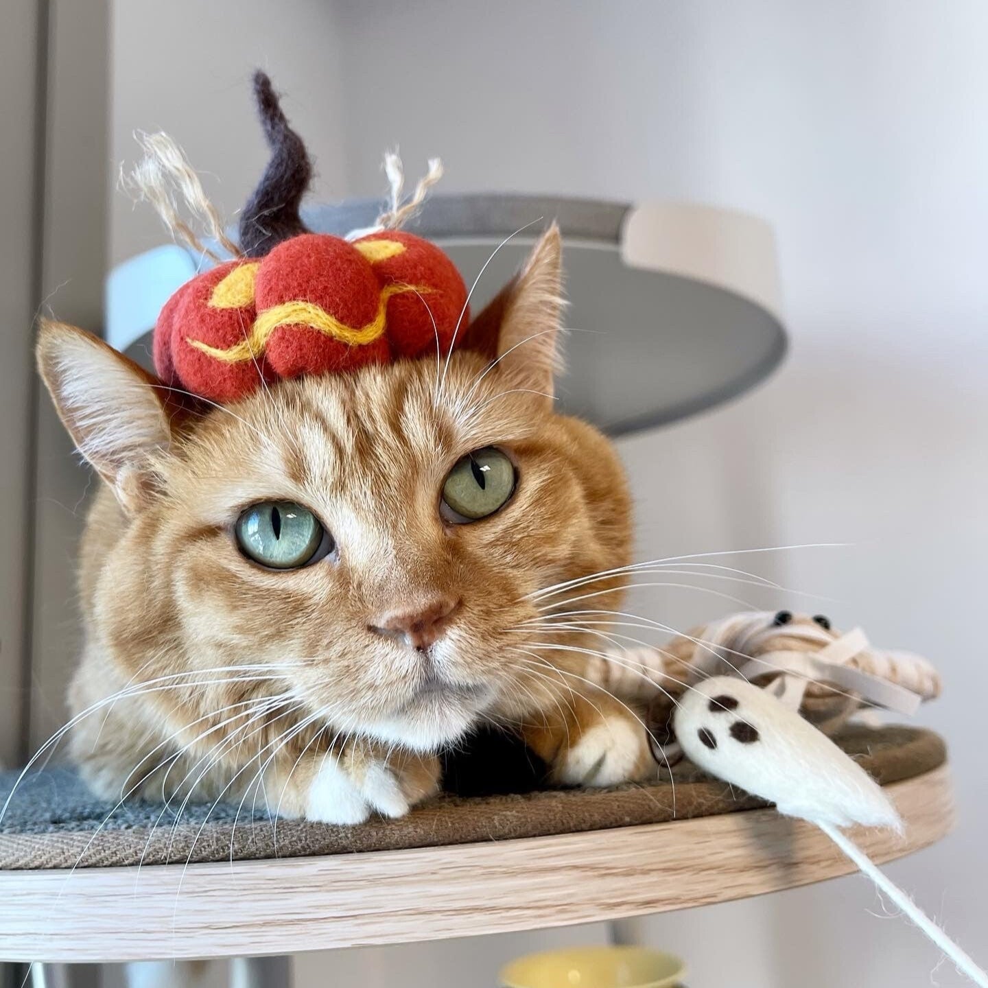 Jack-o'-lantern Headpiece