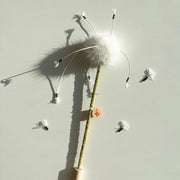 White Dandelion Wand