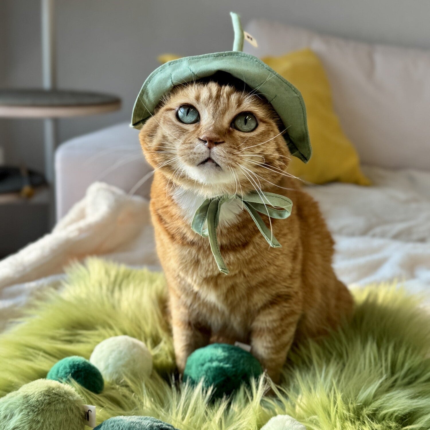 Lotus Leaf Hat