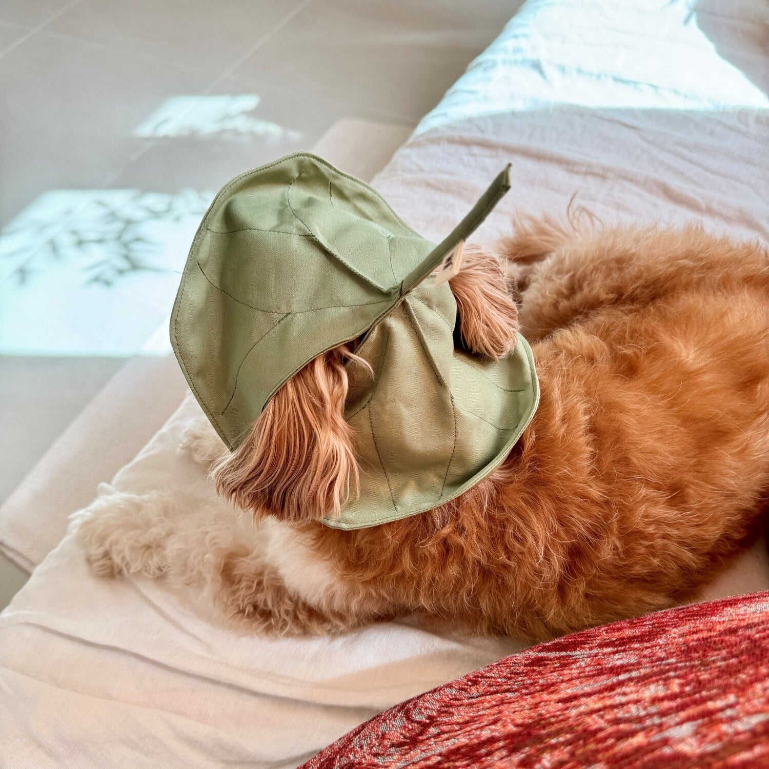 Lotus Leaf Hat