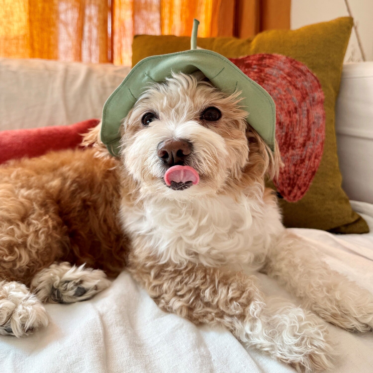 Lotus Leaf Hat