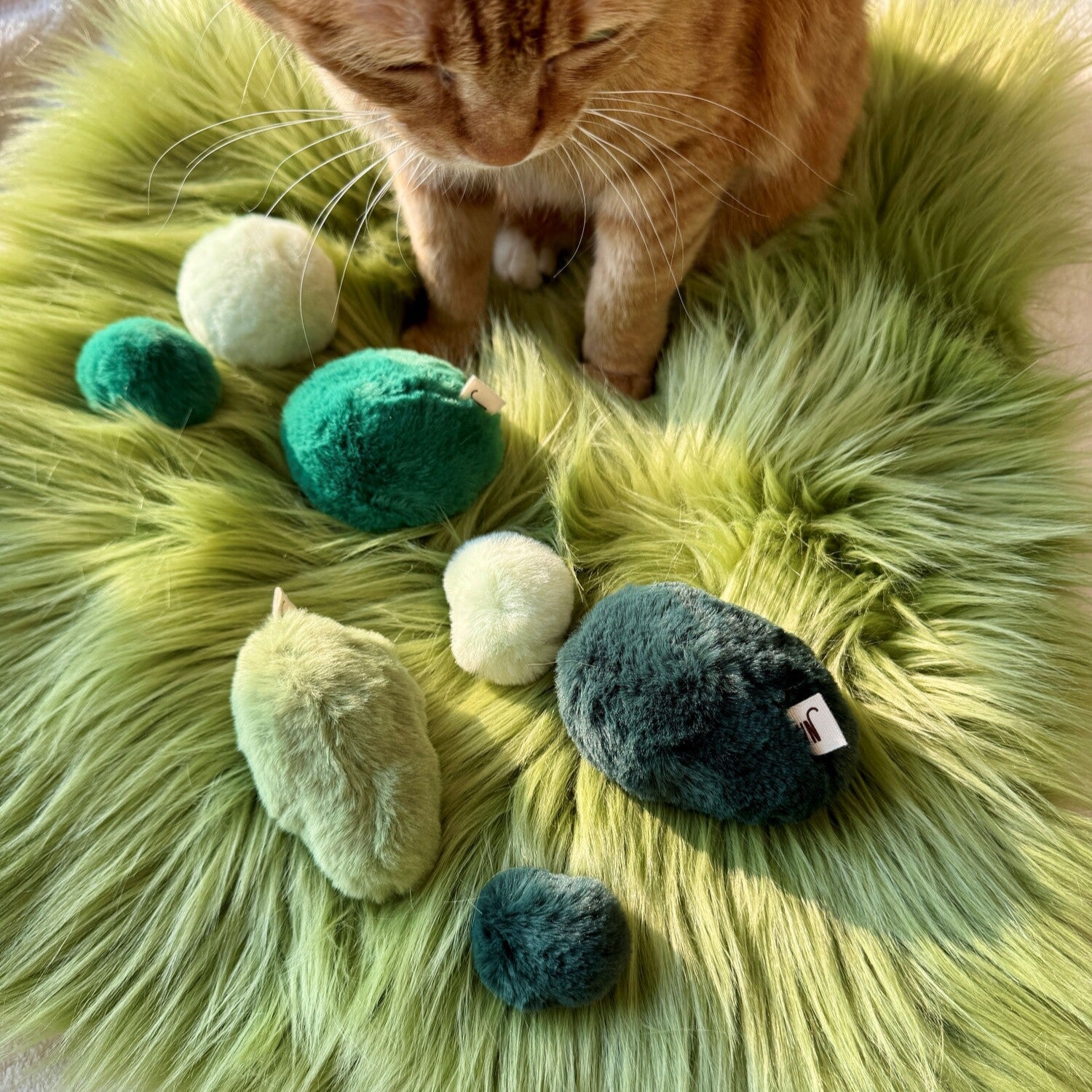 Moss (Set of 3)