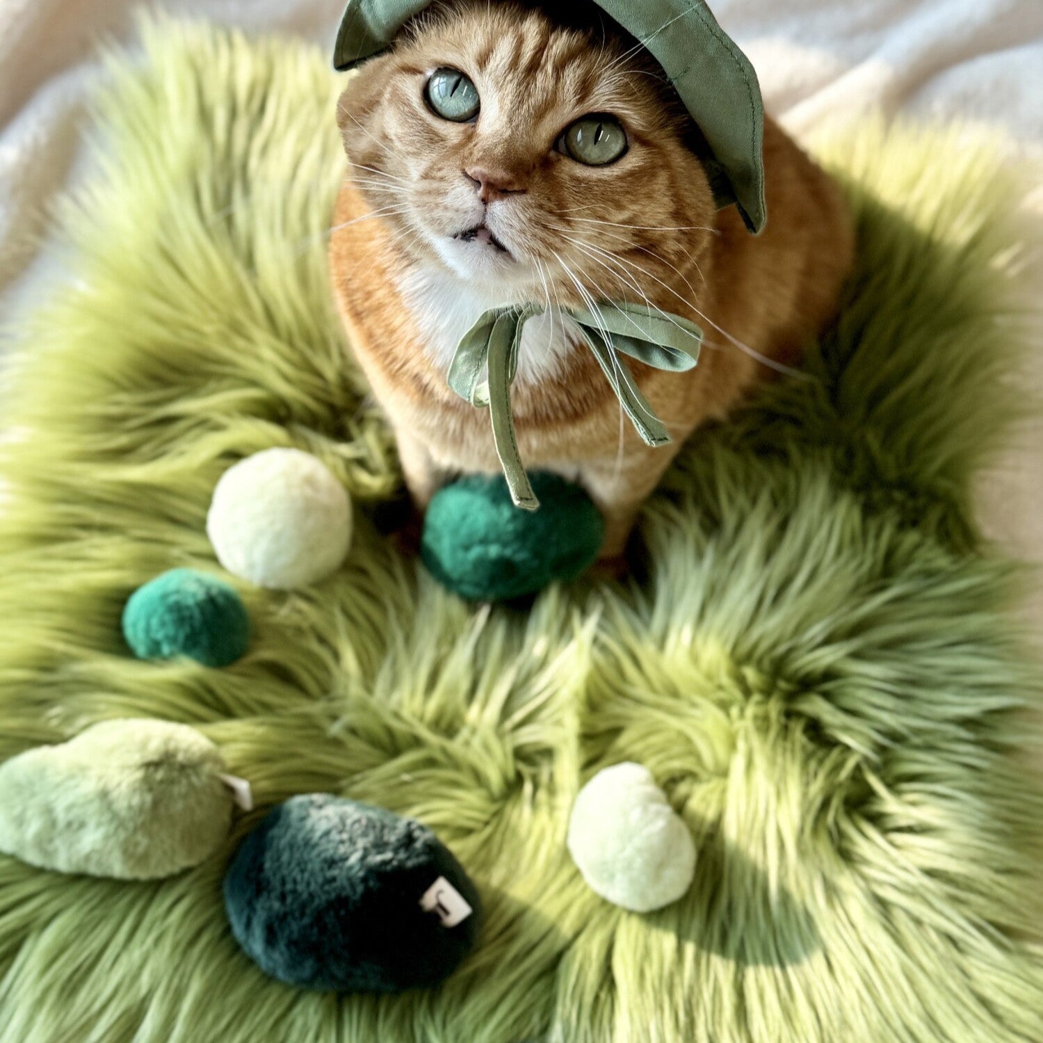 Moss (Set of 3)