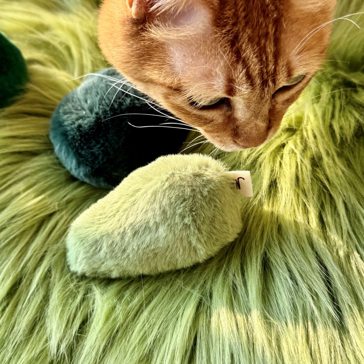 Moss (Set of 3)