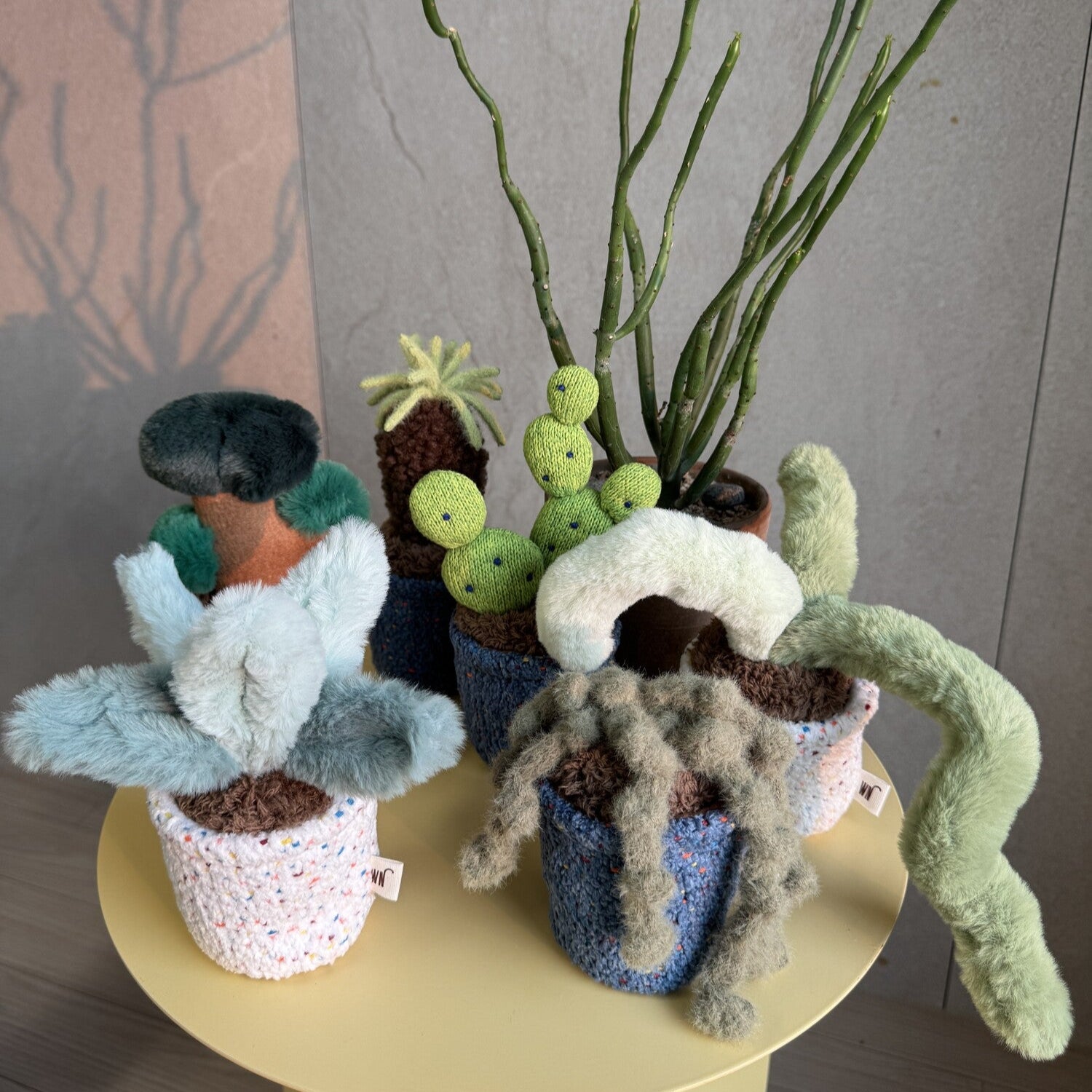 Pot Series