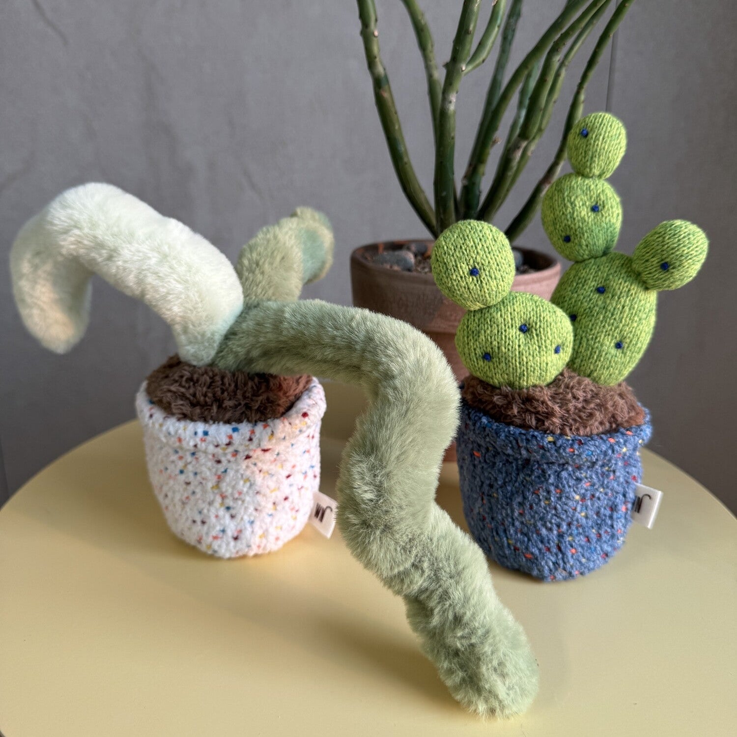 Pot Series