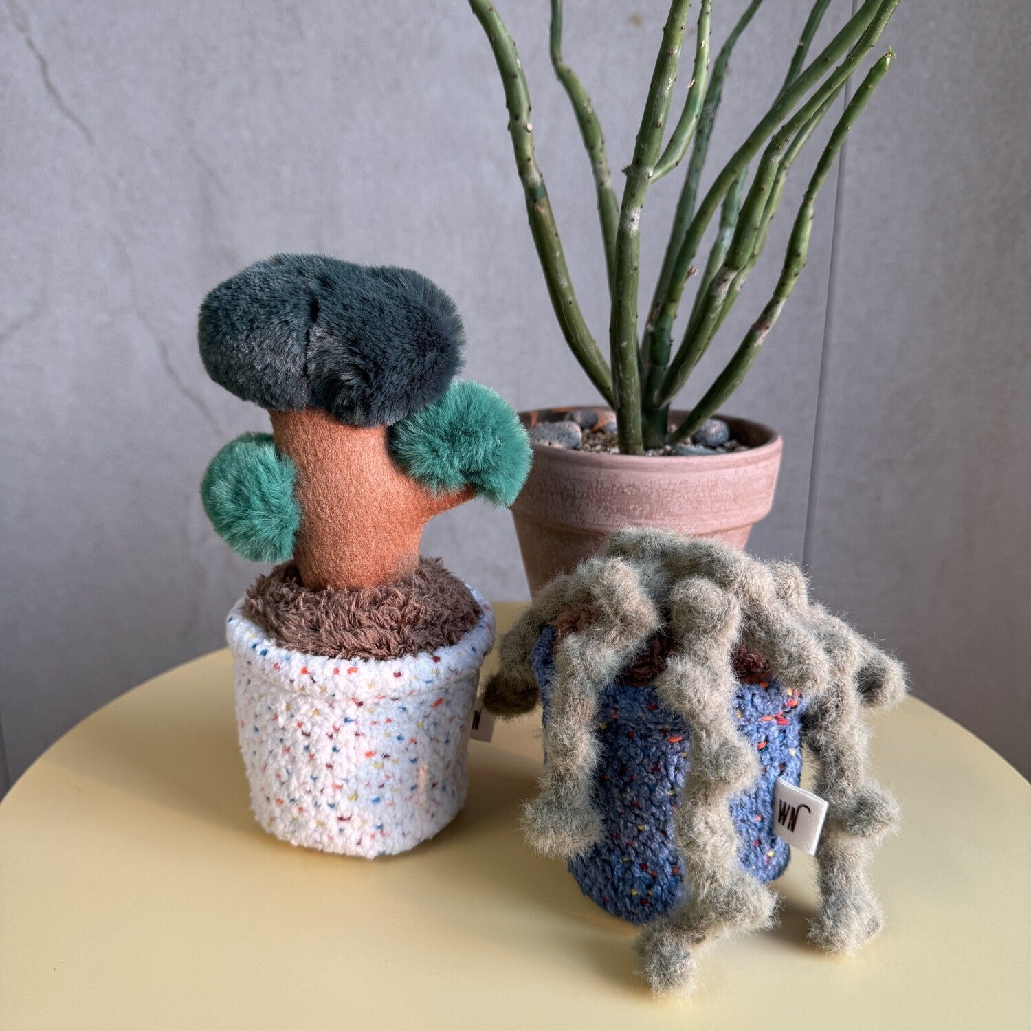 Pot Series