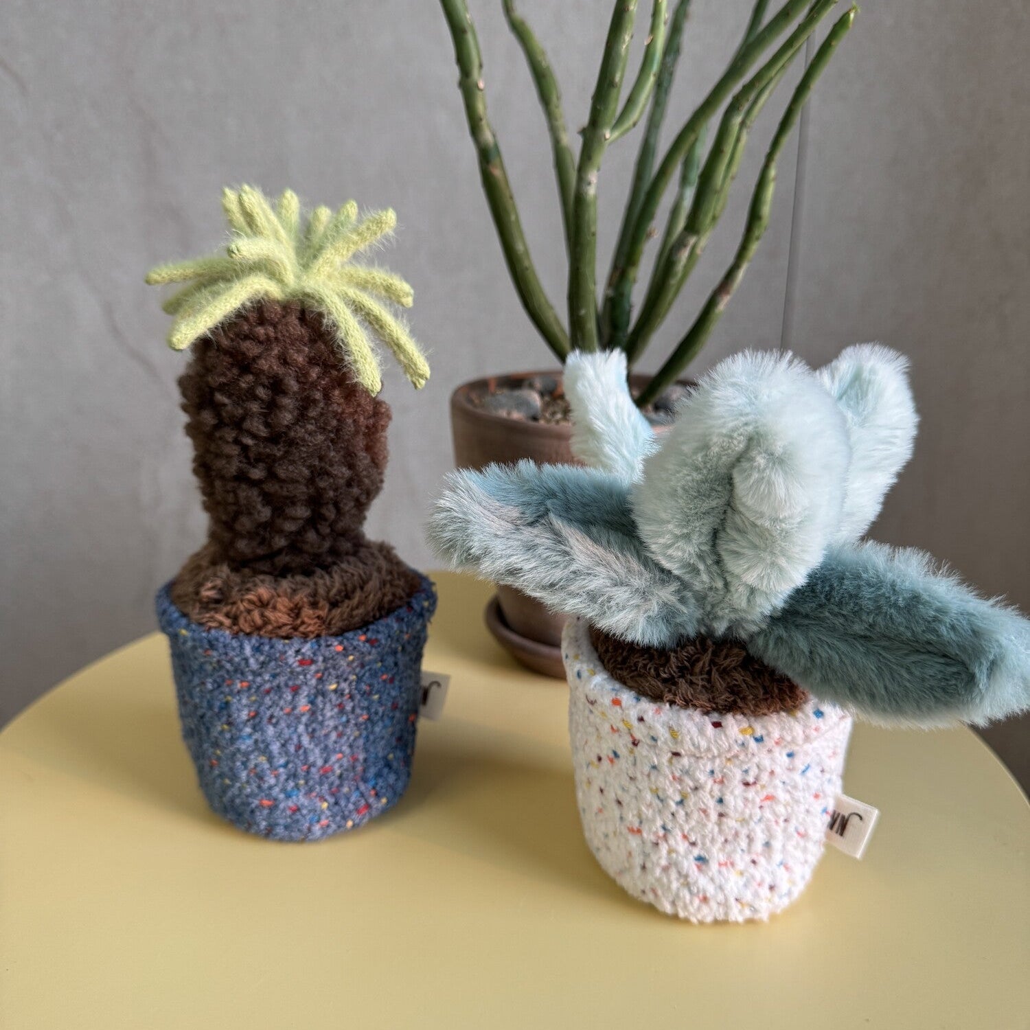 Pot Series