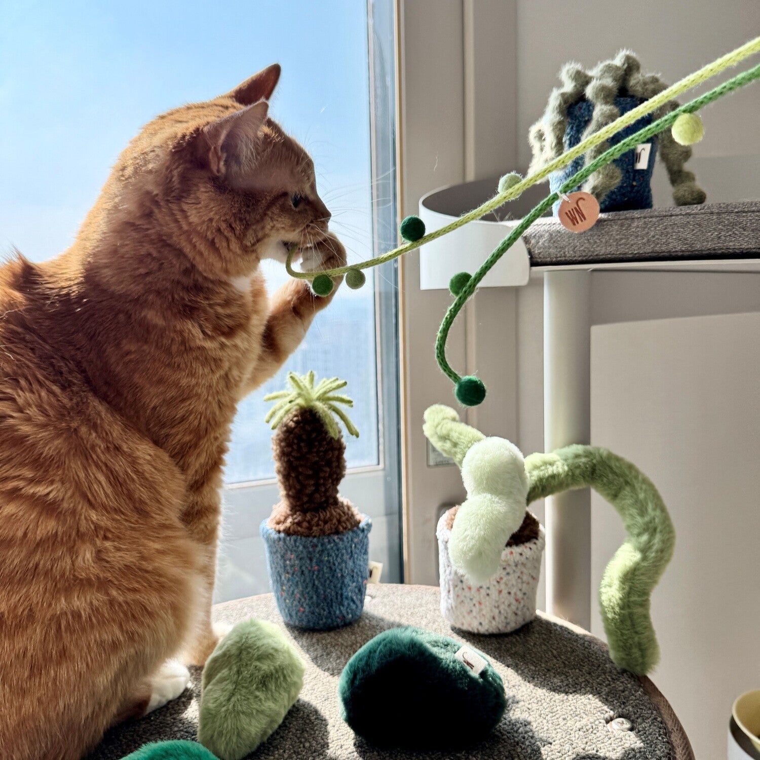 Plant Series