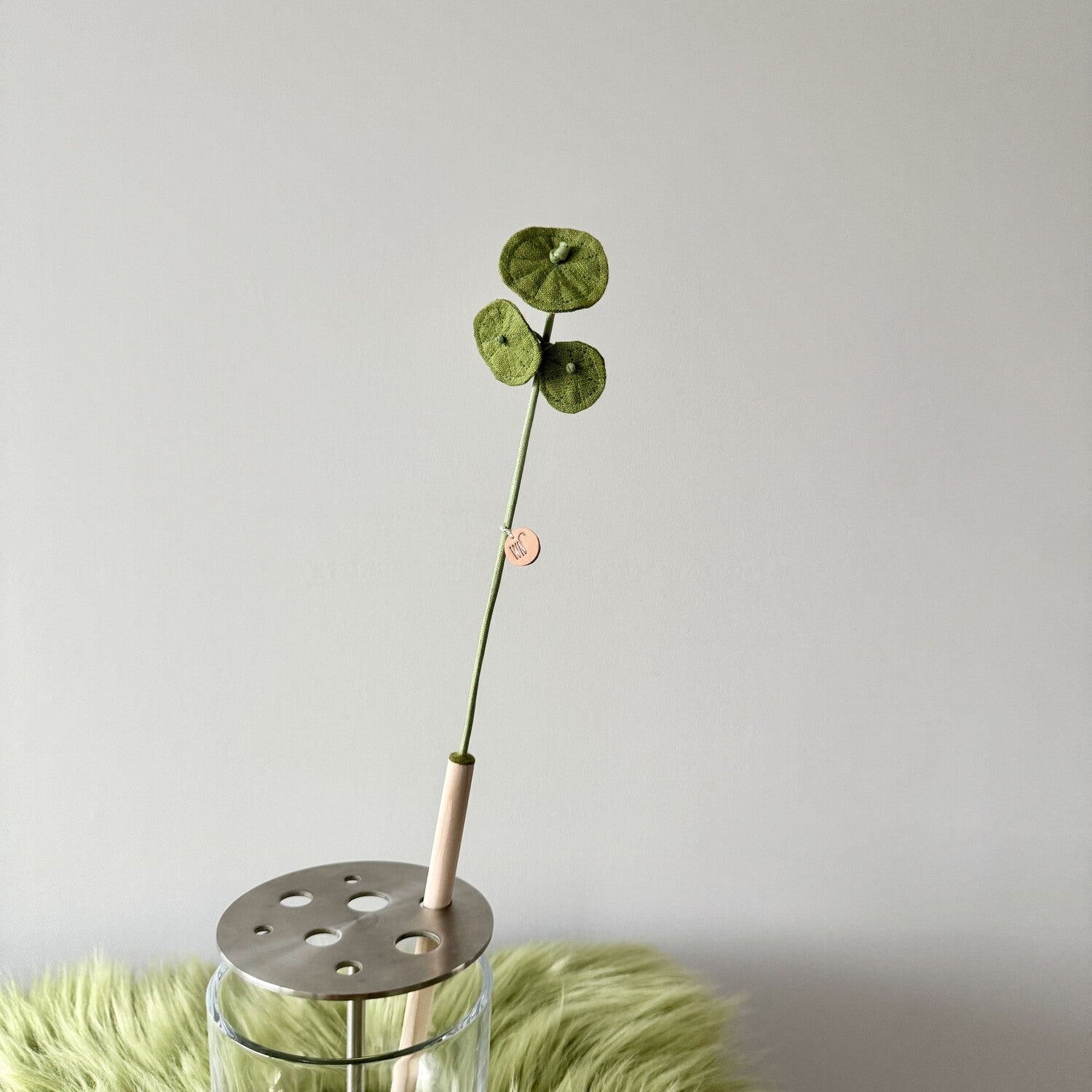 Plant Series