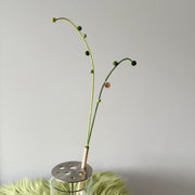 Long String of Pearls