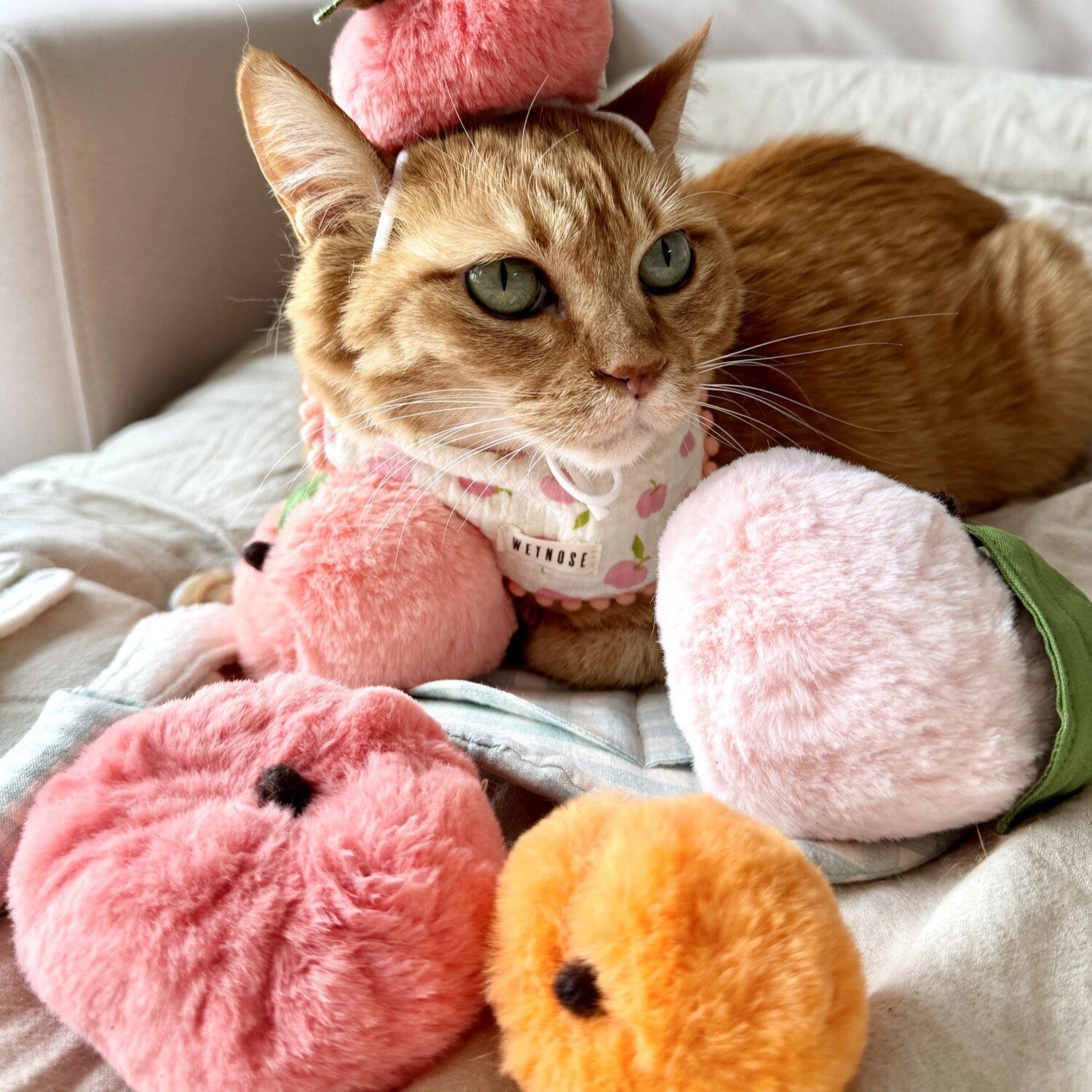 Peach Series