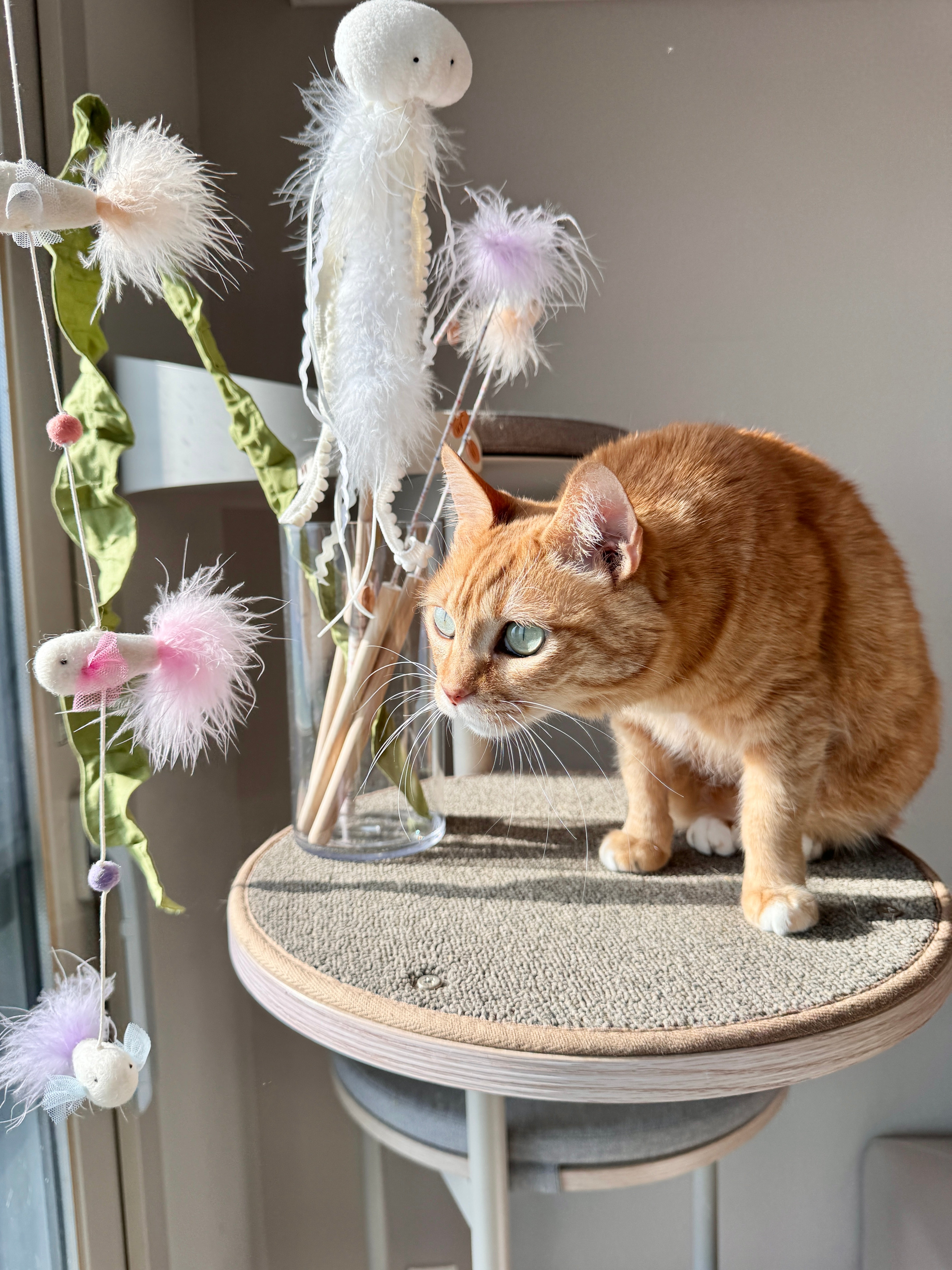 Jellyfish Rod