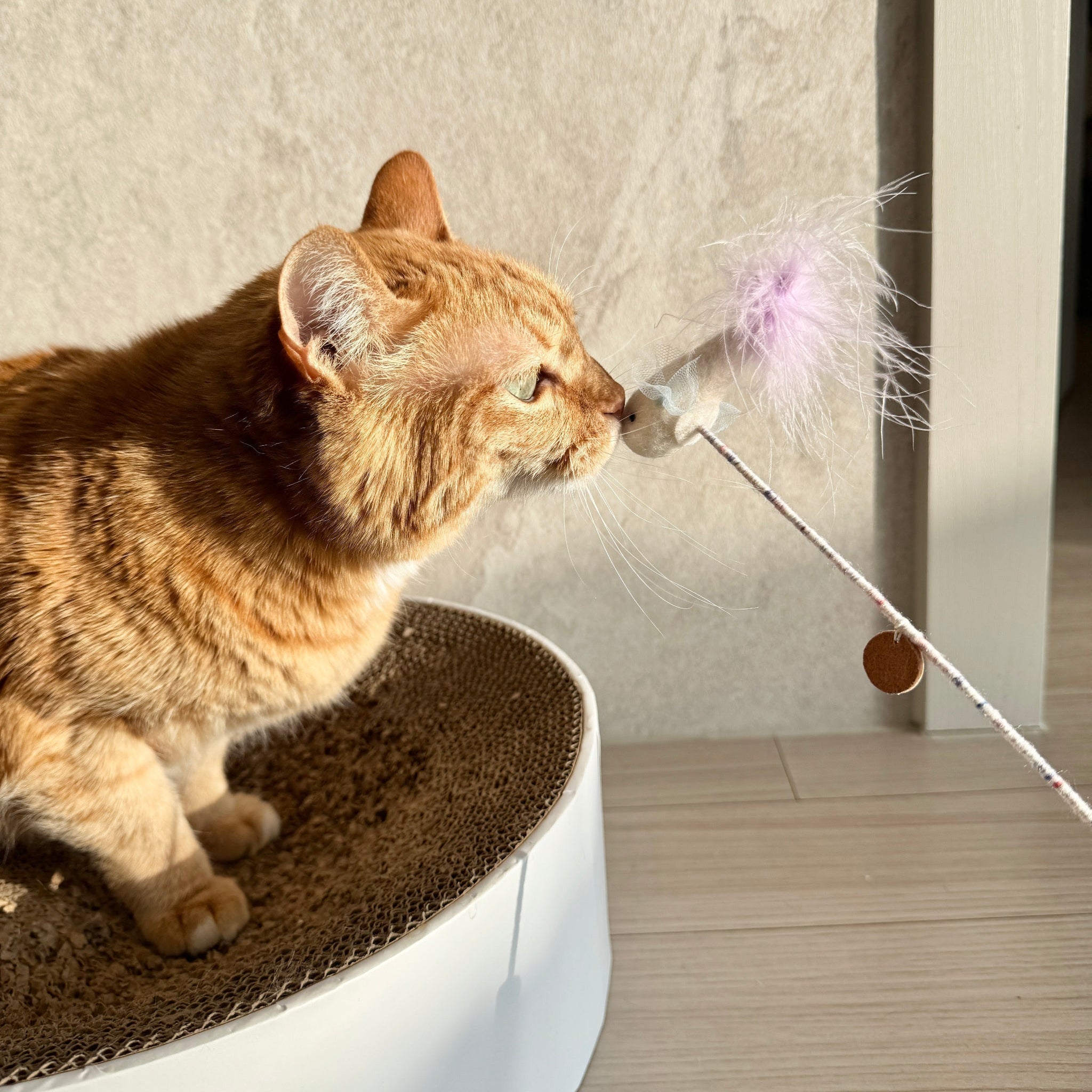 [PRE-ORDER] Mini Fish Wand