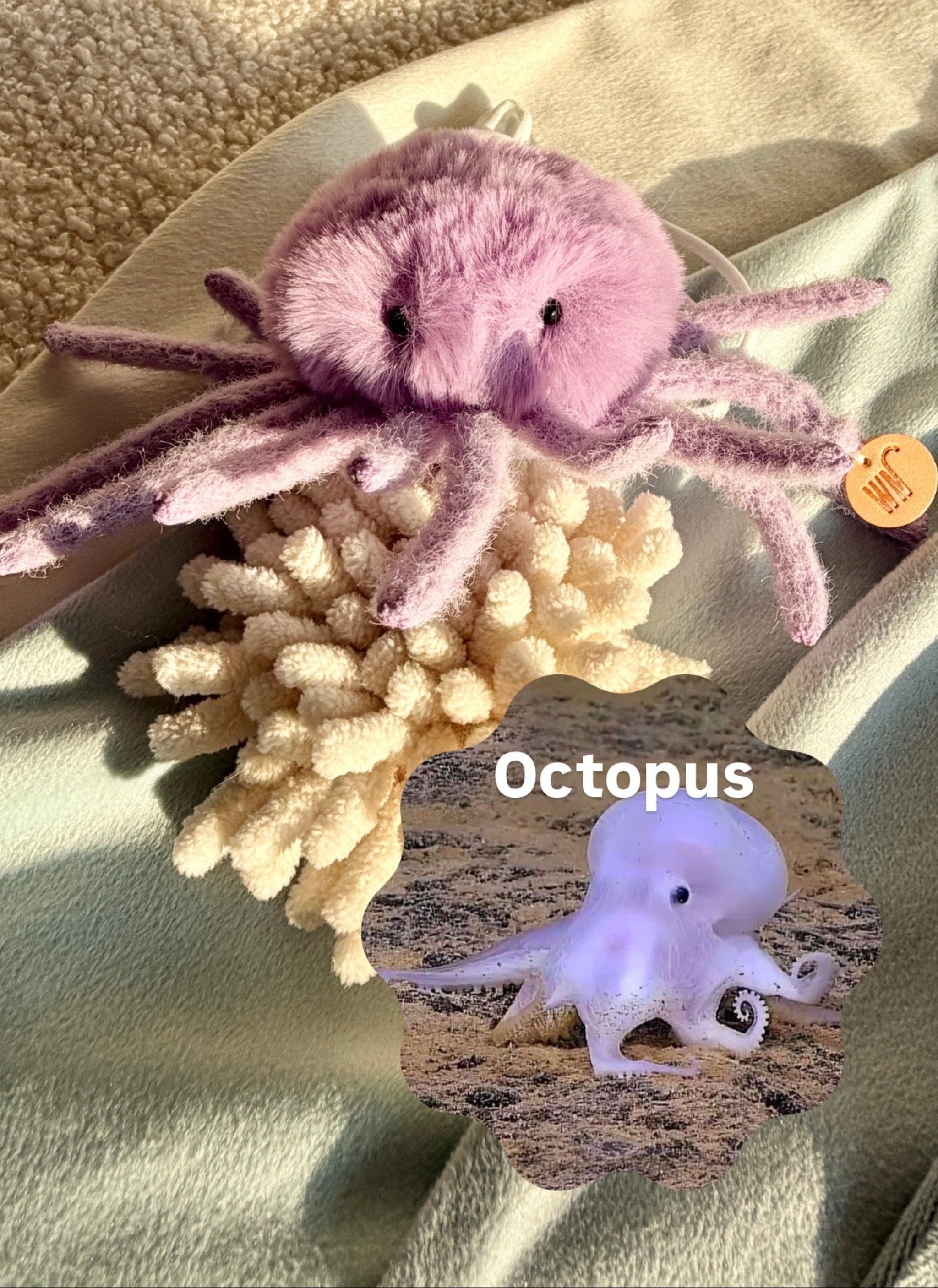 Octopus Headpiece