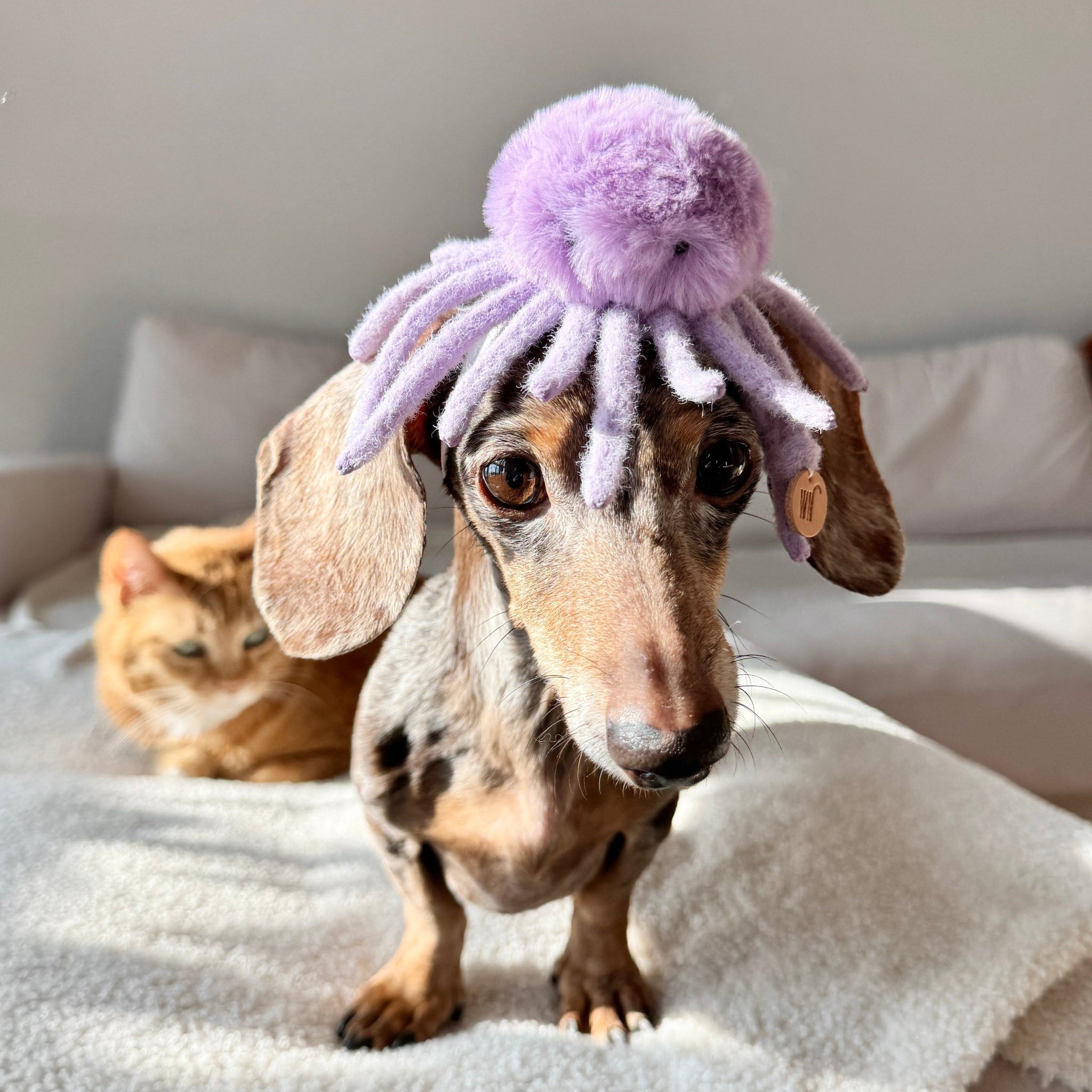 Octopus Headpiece