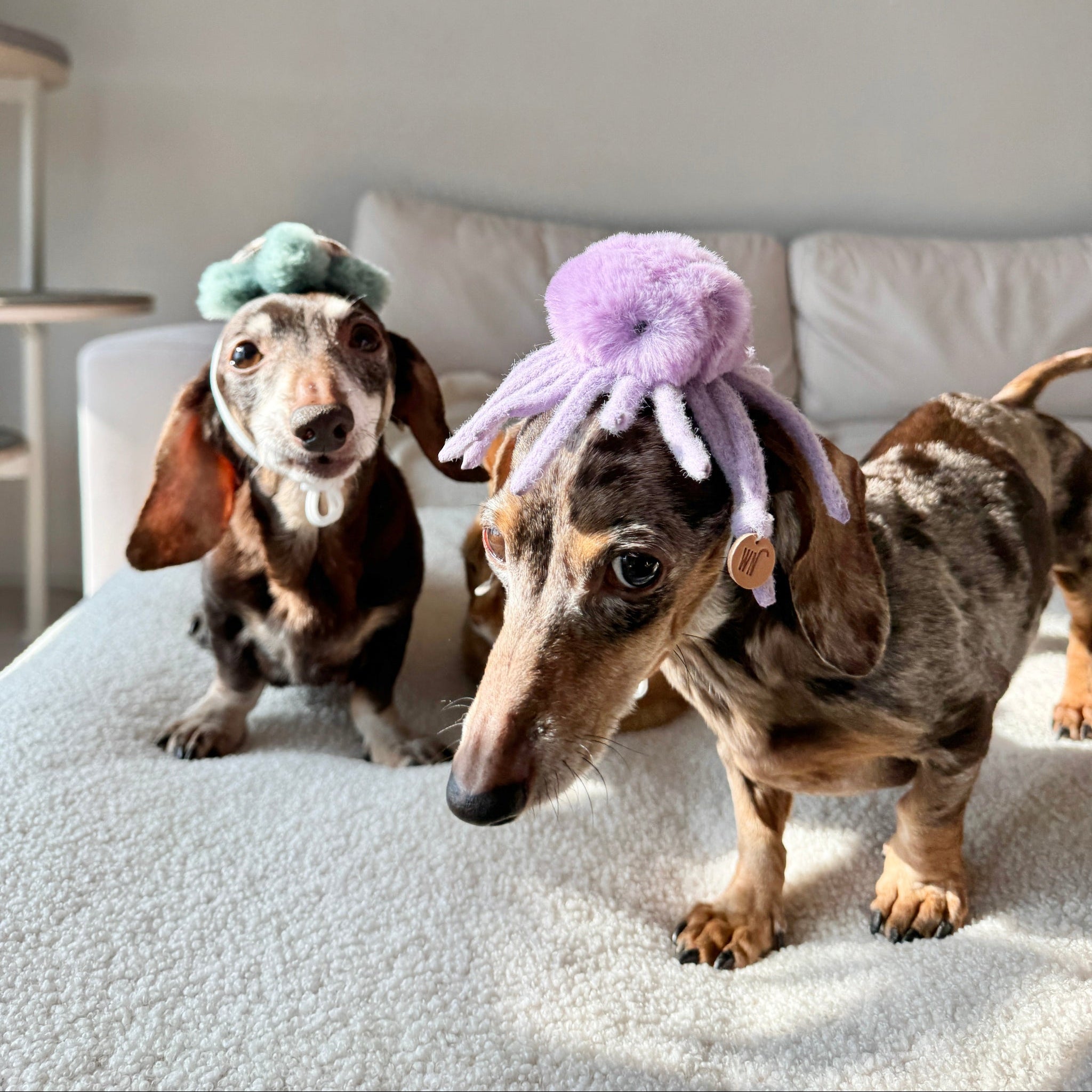 Octopus Headpiece