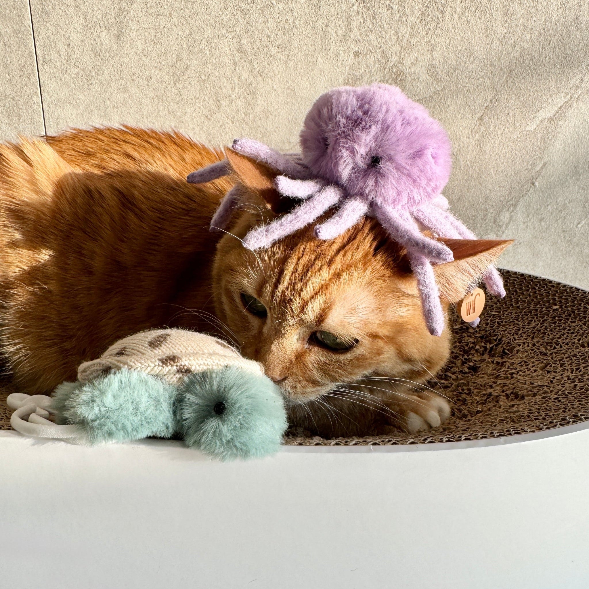 Octopus Headpiece