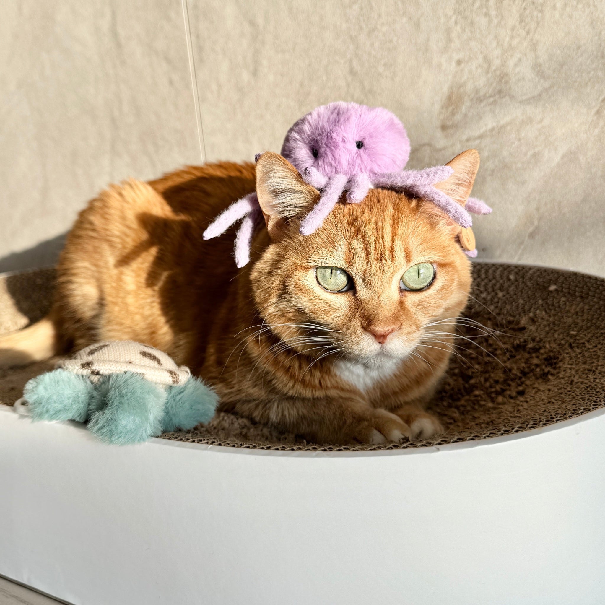 Octopus Headpiece