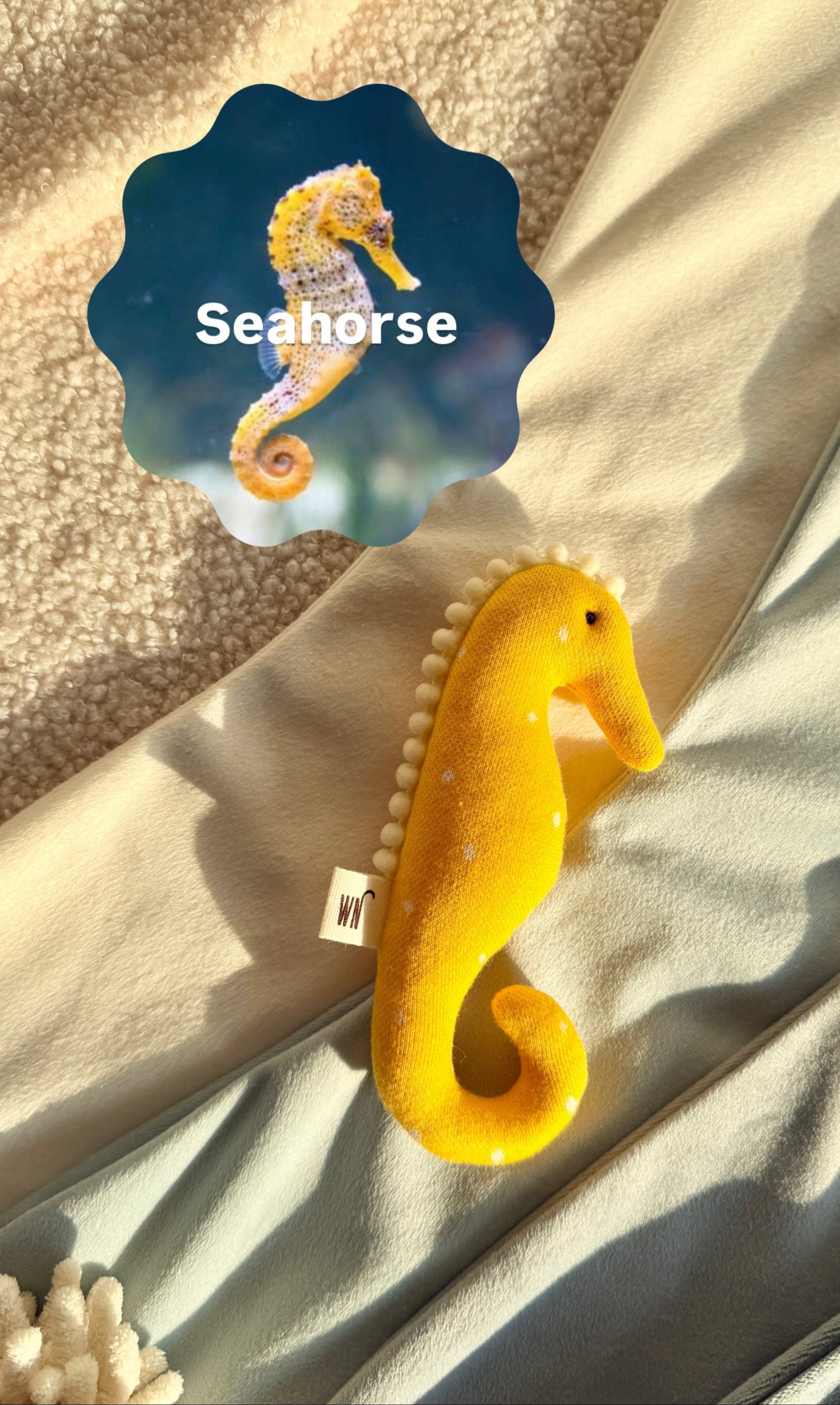 Seahorse Toy